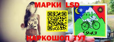 spice Славгород