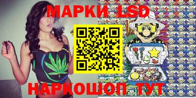 spice Славгород